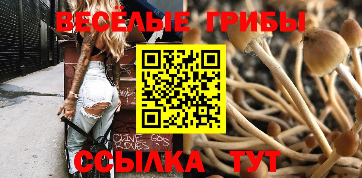 Галлюциногенные грибы Magic Shrooms Нижнекамск