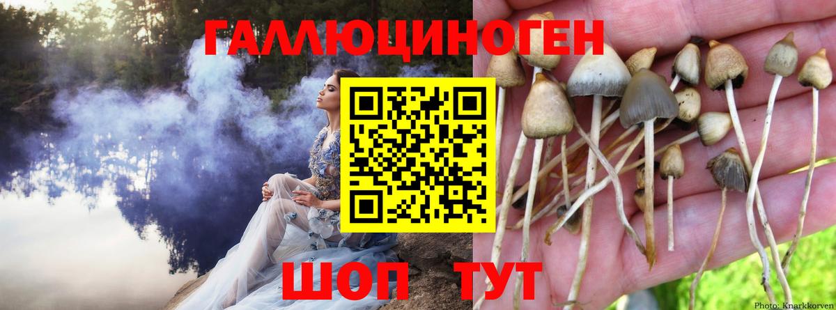 Галлюциногенные грибы MAGIC MUSHROOMS  Вход с VPN  Нижнекамск 