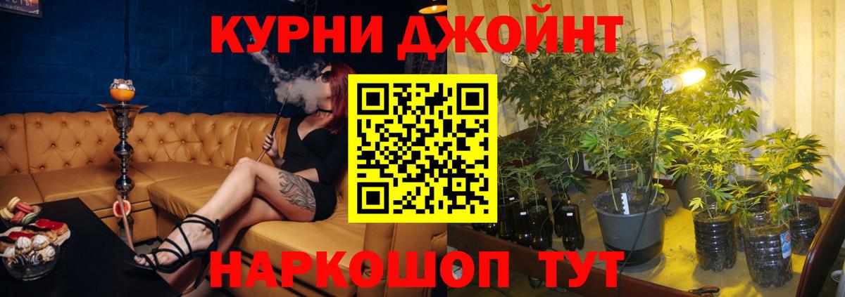 Канабис сатива Нижнекамск